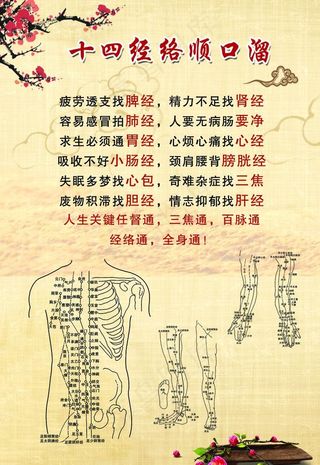 艾灸  全身经络图片