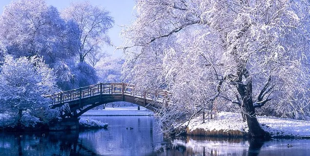 冬景图片 冬景图片