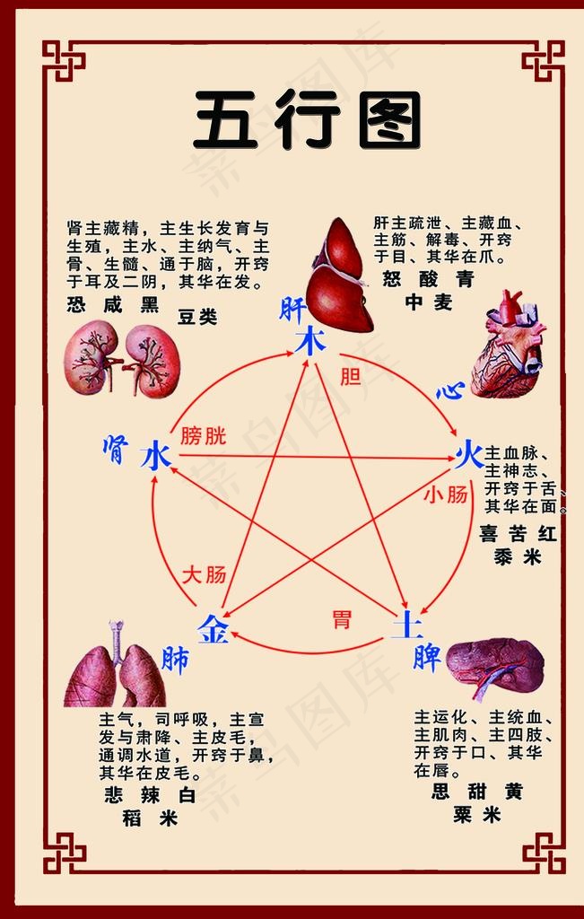 中医 五行图图片(3150X4724(DPI:100))psd模版下载