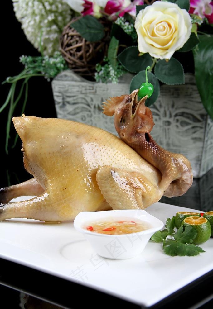 文昌鸡图片