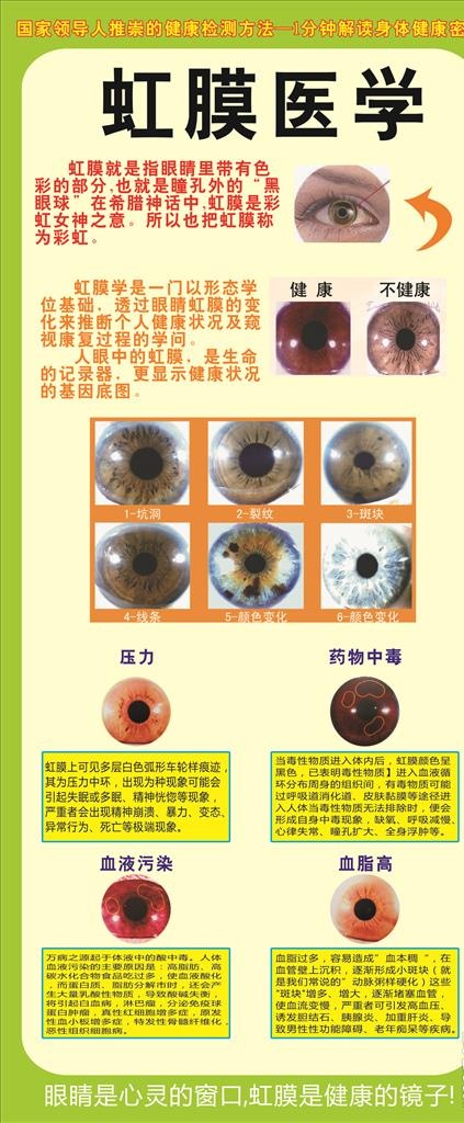 伊莲阁 虹膜展架图片cdr矢量模版下载