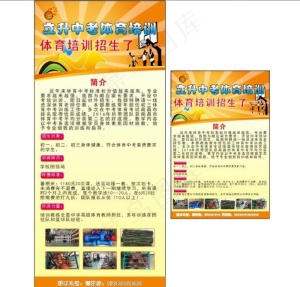 体育培训招生了图片