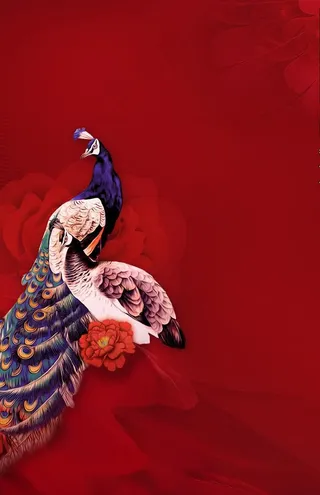 华丽孔雀图片