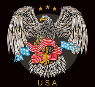 美国鹰徽标图片