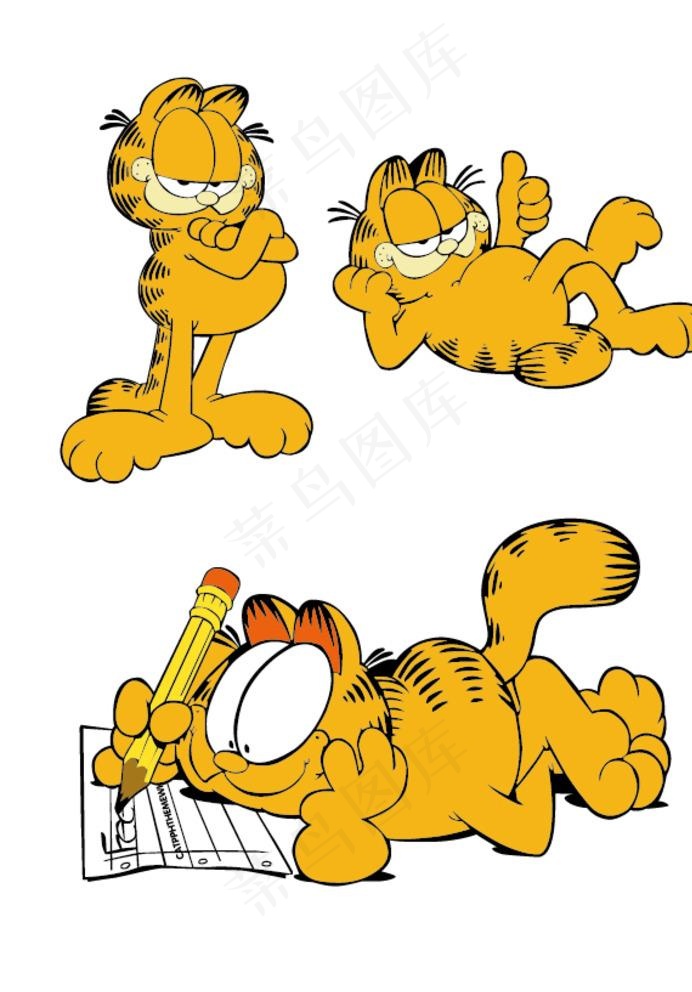 美国动漫加菲猫卡通造型图片