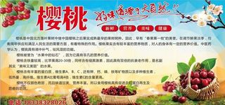 樱桃简介图片