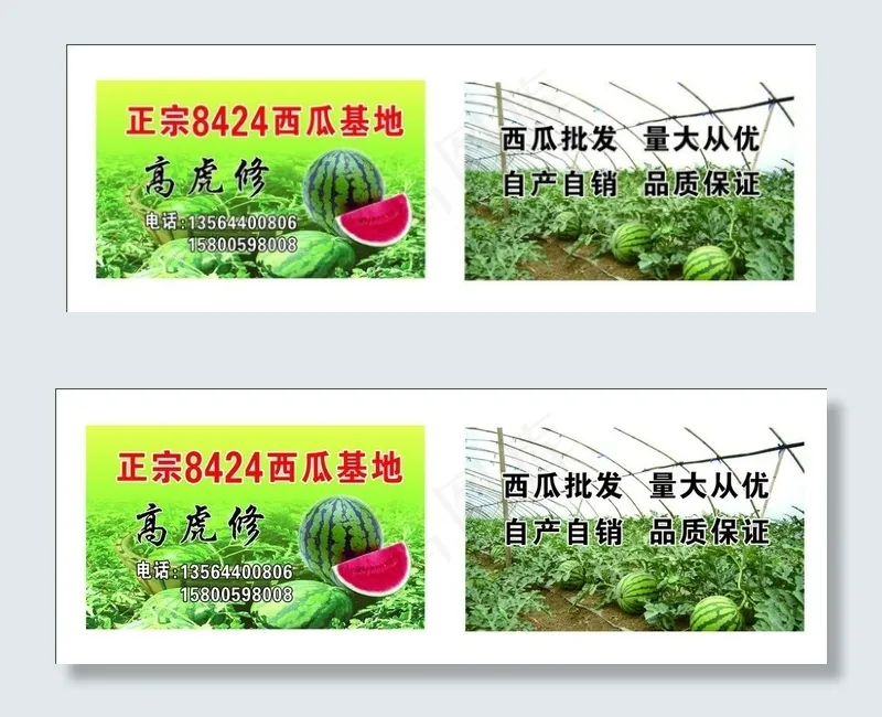 西瓜背景 大棚西瓜批图片cdr矢量模版下载
