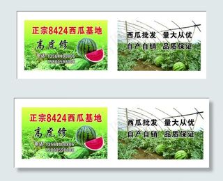 西瓜背景 大棚西瓜批图片