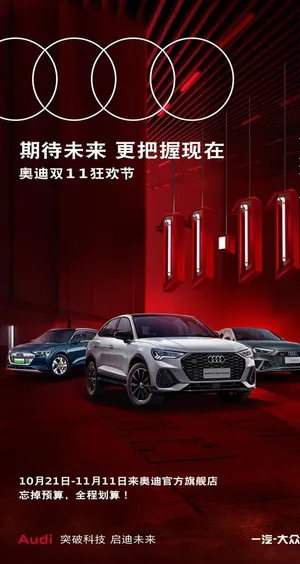 奥迪双十一狂欢节图片