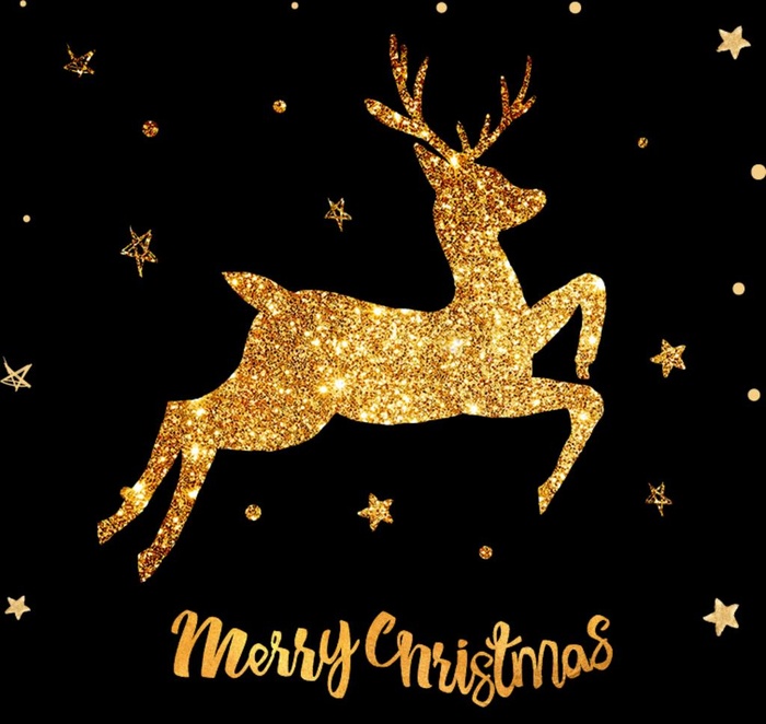 圣诞鹿图片