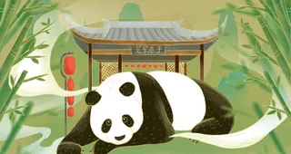 熊猫清新传统国风插画背景图片