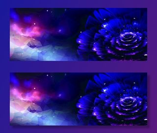 绽放的春天图片