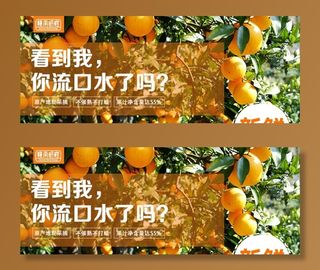 赣南脐橙banner图片