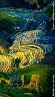 梯田图片