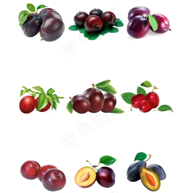 李子图片psd模版下载