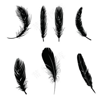 羽毛形状图片