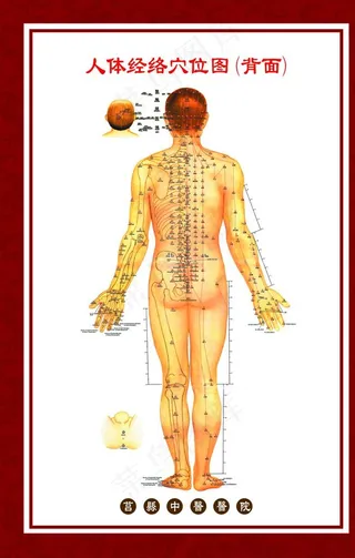 人体经络穴位图图片