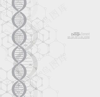 基因DNA图片