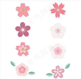 矢量花瓣图片 矢量花瓣图片
