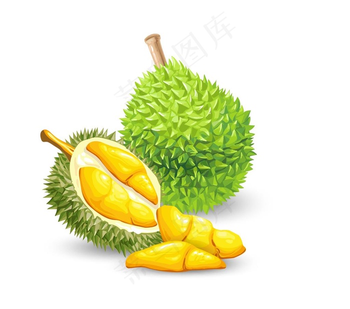 榴莲图片ai矢量模版下载