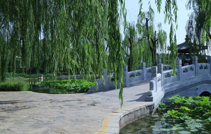 公园风景图片