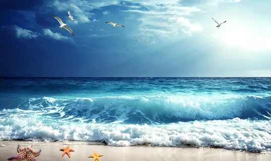 大海图片 大海图片
