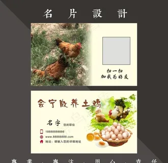土鸡名片图片