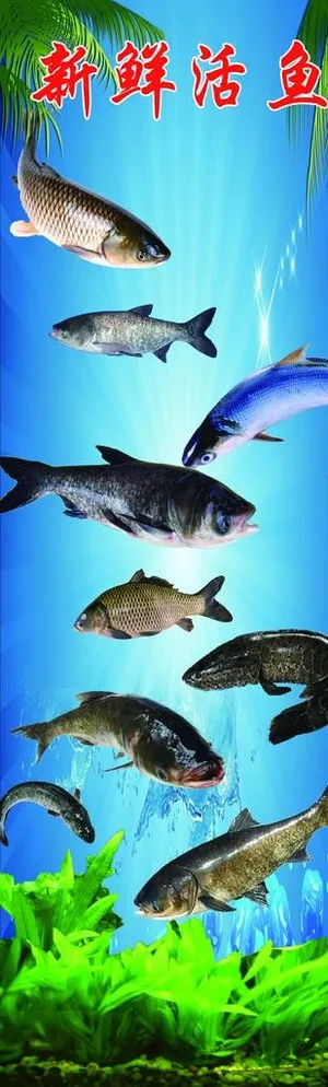 新鲜活鱼广告图片 新鲜活鱼广告图片
