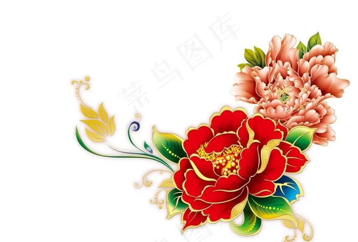 牡丹图片