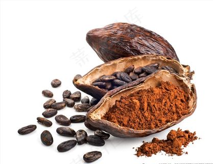 可可豆 可可粉图片