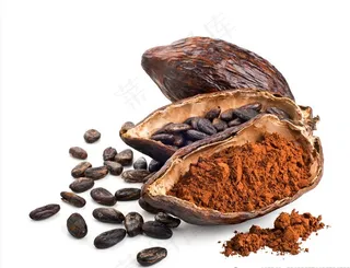 可可豆 可可粉图片