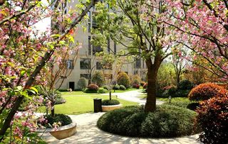 小区里的绿化图片