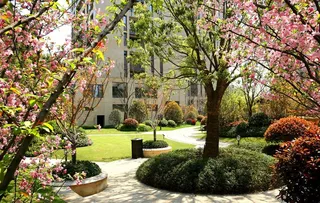 小区里的绿化图片