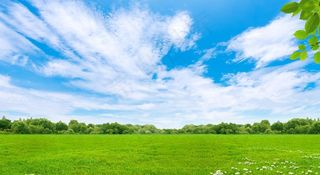 白云蓝天草地图片