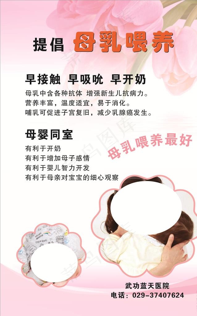 温馨背景   清新展板图片