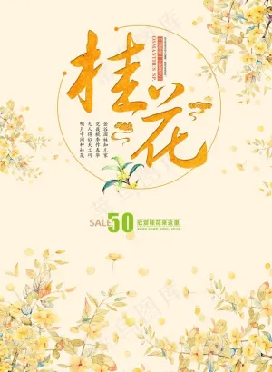 桂花图片