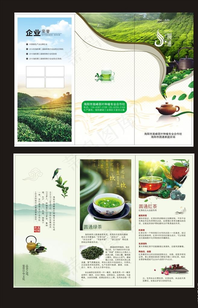 茶叶三折页图片(1000X1000)cdr矢量模版下载