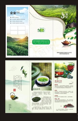茶叶三折页图片