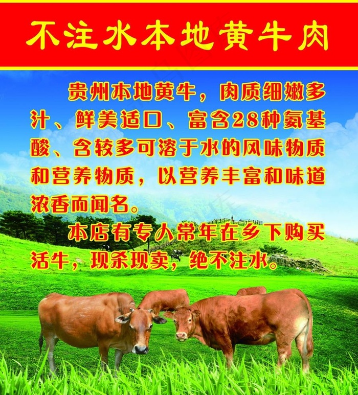 贵州黄牛肉图片(2835X3231(DPI:72))psd模版下载