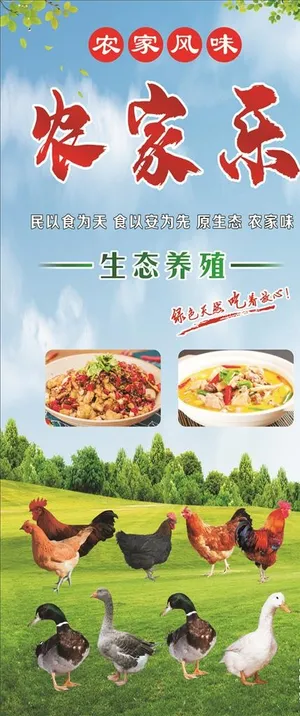 农家乐展架图片
