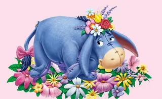 屹耳驴伊尔驴图片