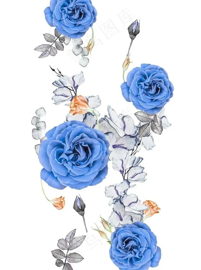 蓝玫瑰图片