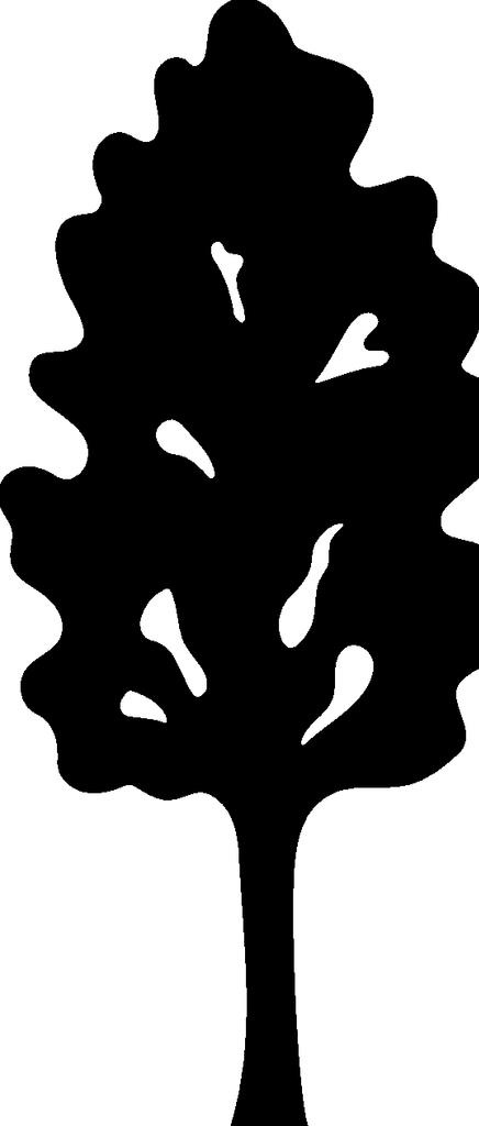 植物系列 树木图片