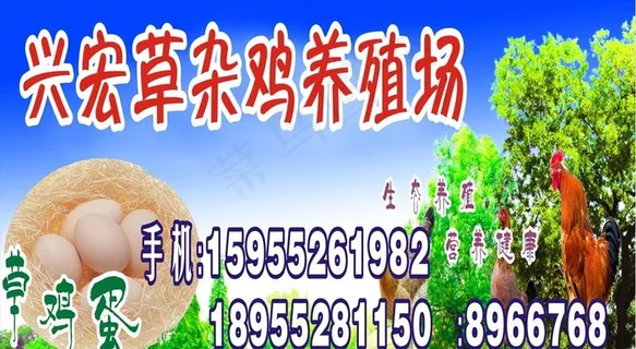 养鸡场灯箱广告图片