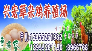 养鸡场灯箱广告图片
