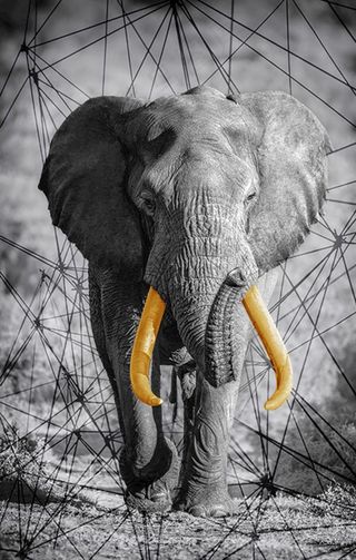 新中式现代大象装饰画图片