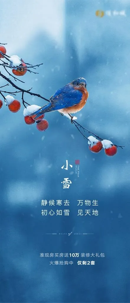 小雪图片(1181X2561(DPI:150))psd模版下载