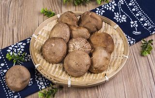 蘑菇香菇菜品背景海报素材图片