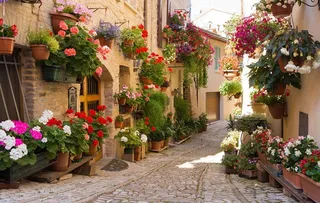 浪漫小巷风景背景墙图片