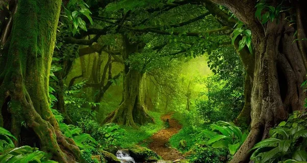 风景图片 风景图片